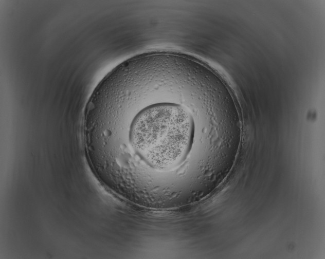 X0000091241295200708231708