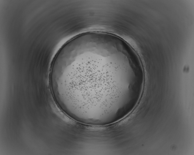 X0000091241296200708231708