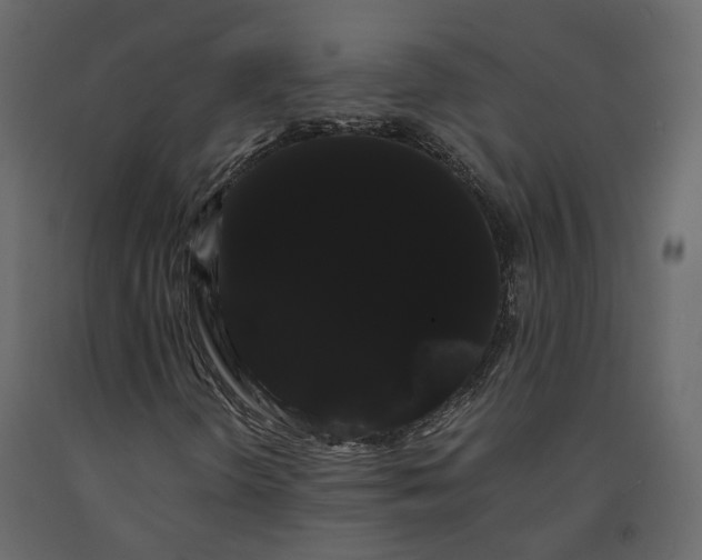 X0000091241298200708231708