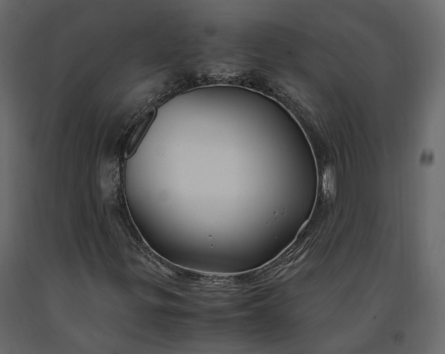 X0000091241299200708231708