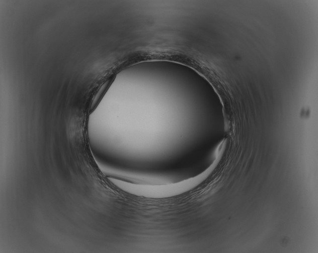X0000091241300200708231708
