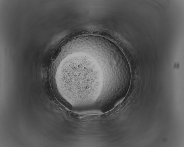 X0000091241302200708231708