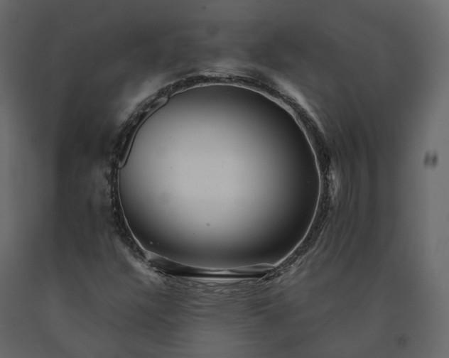 X0000091241304200708231708