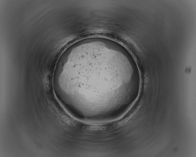 X0000091241305200708231708