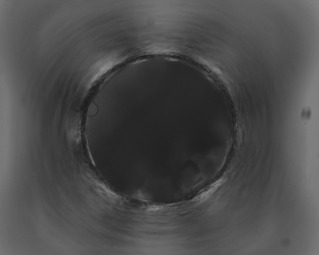 X0000091241306200708231708
