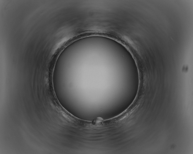 X0000091241307200708231708