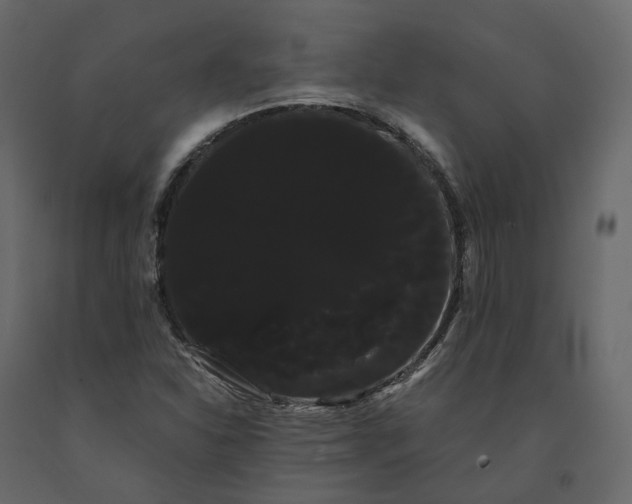 X0000091241310200708231708
