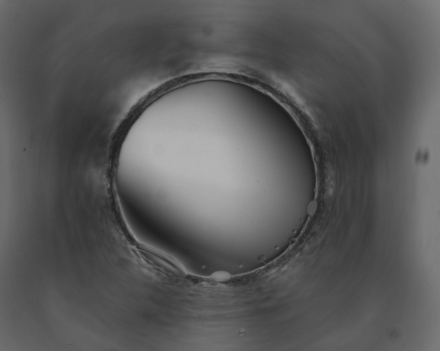 X0000091241312200708231708