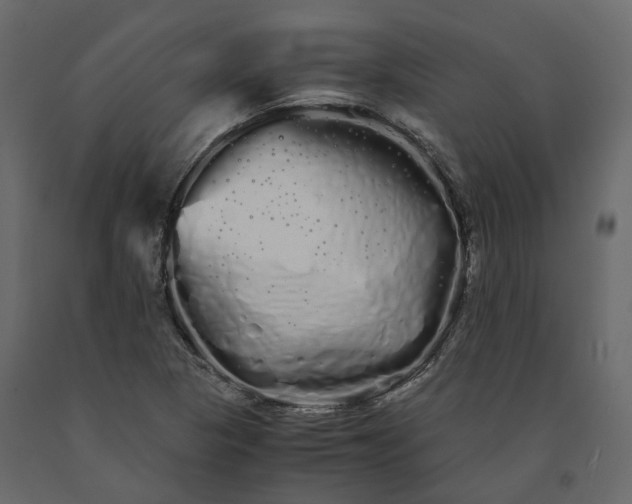 X0000091241313200708231708