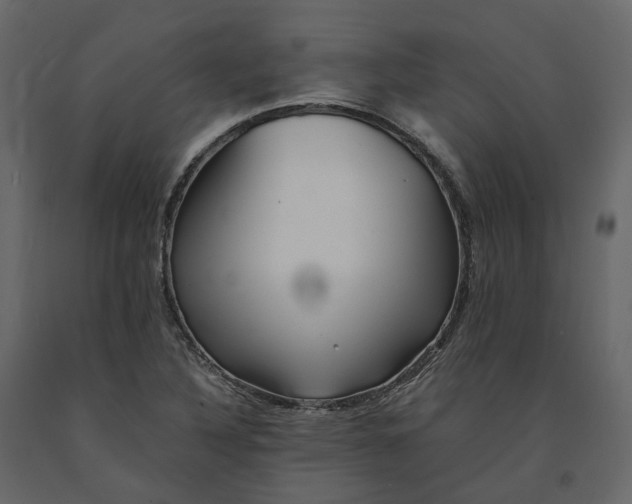 X0000091241316200708231708