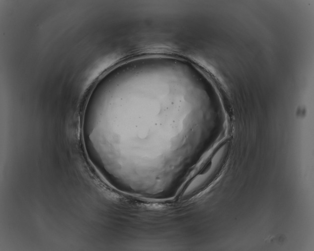 X0000091241317200708231708