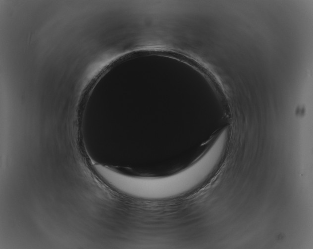 X0000091241319200708231708