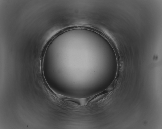 X0000091241320200708231708