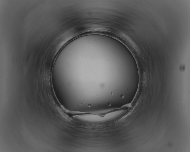 X0000091241321200708231708