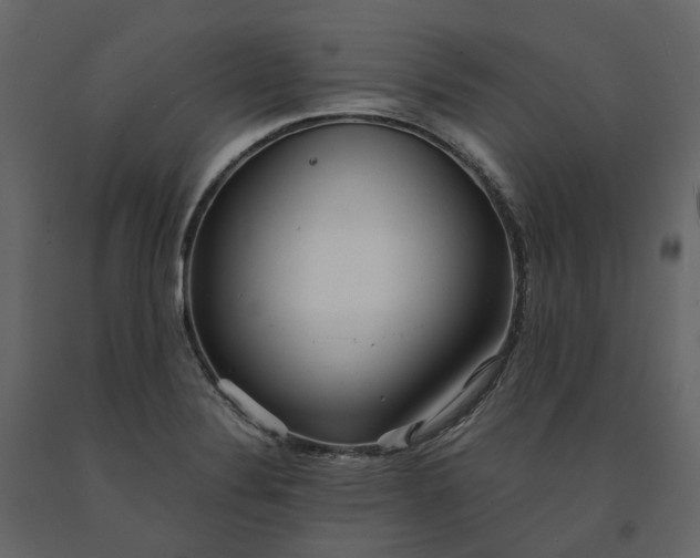 X0000091241324200708231708