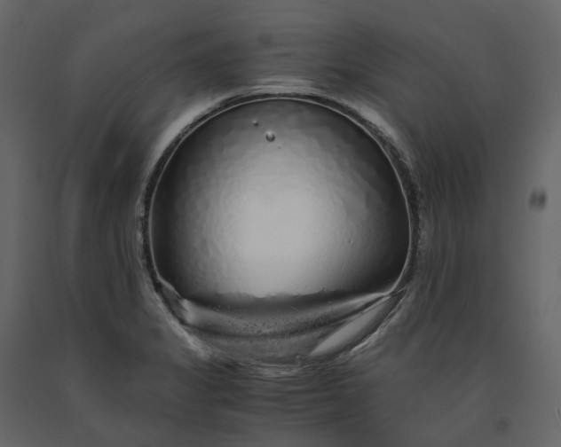 X0000091241325200708231708