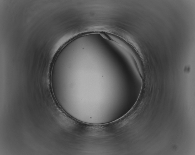 X0000091241328200708231708
