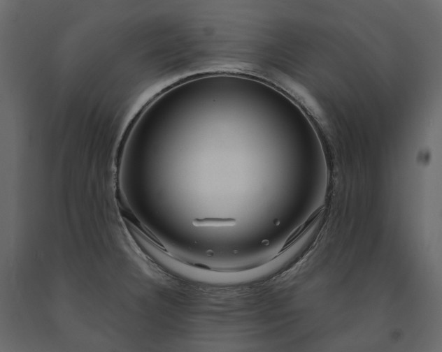 X0000091241332200708231708