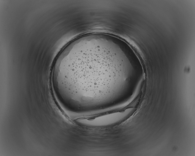 X0000091241333200708231708