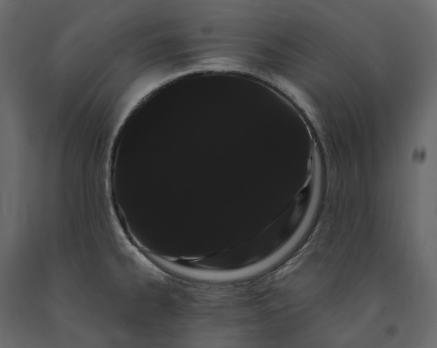 X0000091241334200708231708