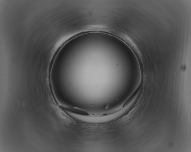 X0000091241336200708231708
