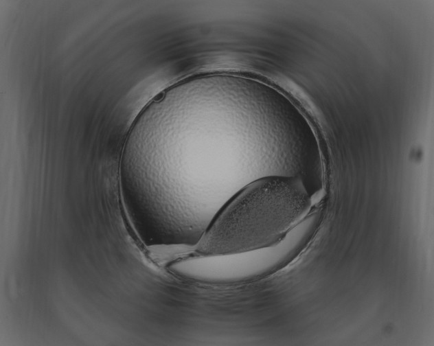 X0000091241337200708231708