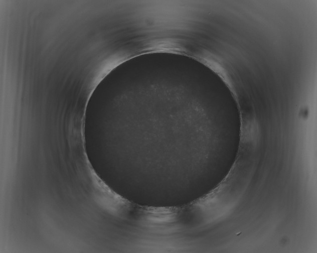 X0000091241338200708231708