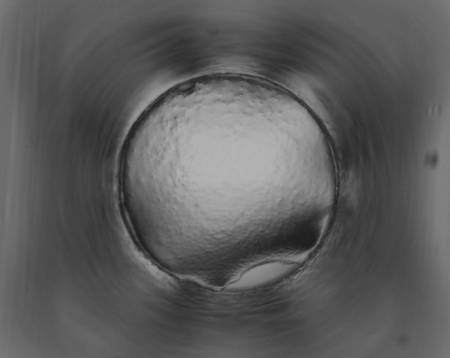 X0000091241339200708231708