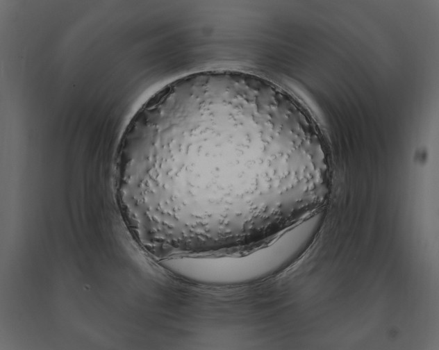 X0000091241340200708231708