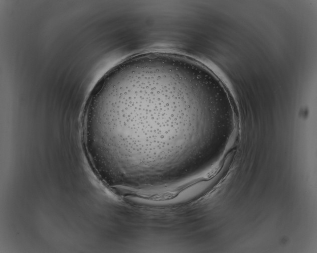 X0000091241341200708231708