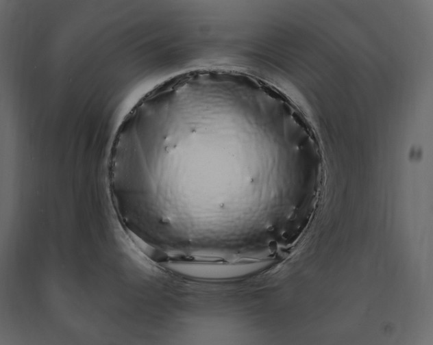X0000091241344200708231708