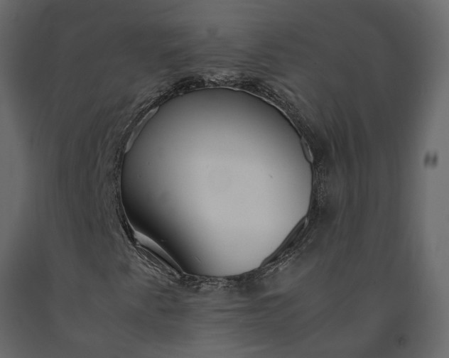 X0000091241345200708231708
