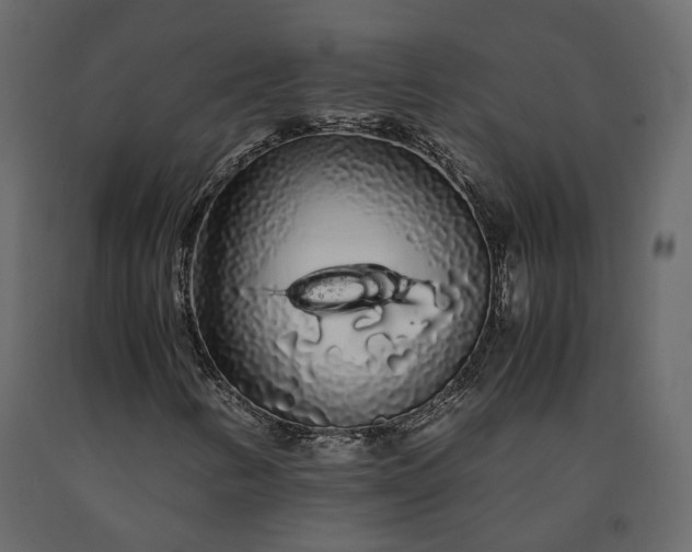 X0000091241346200708231708