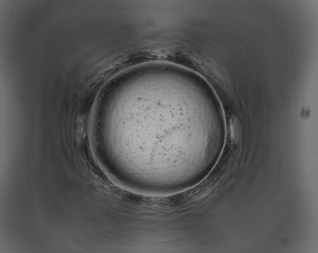 X0000091241347200708231708