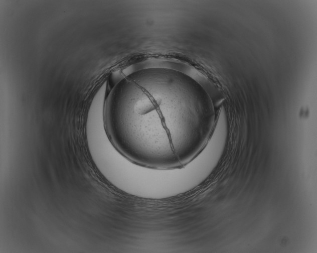 X0000091241348200708231708