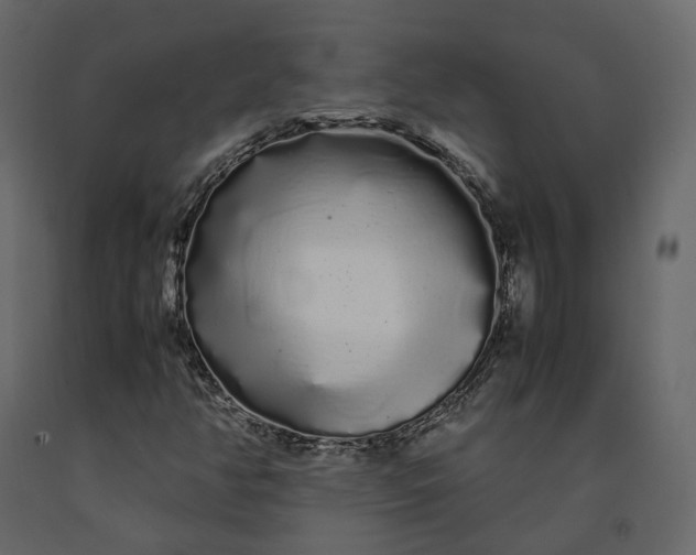 X0000091241350200708231708