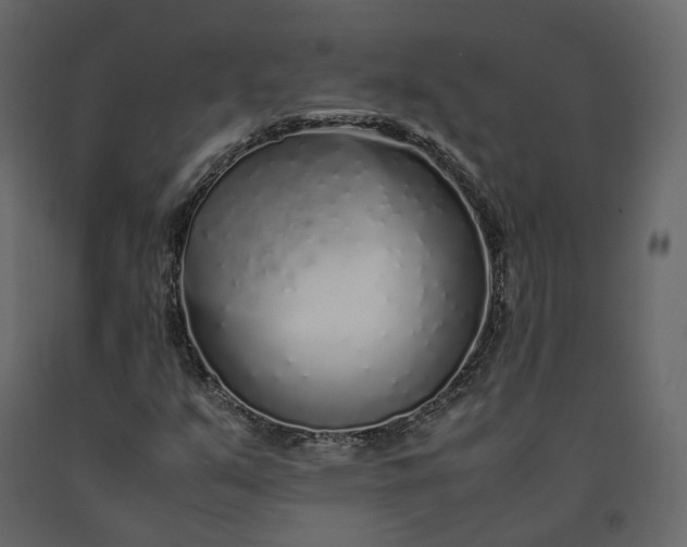 X0000091241351200708231708