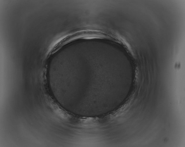 X0000091241352200708231708