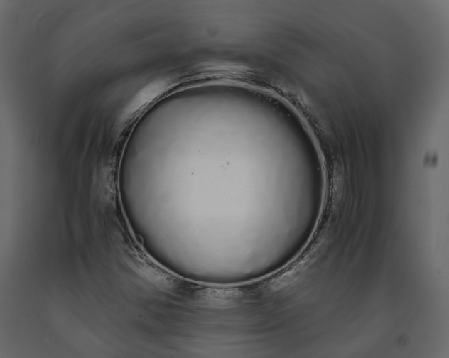 X0000091241354200708231708