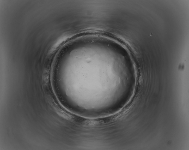 X0000091241355200708231708