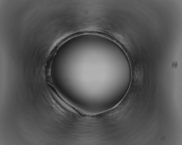 X0000091241356200708231708