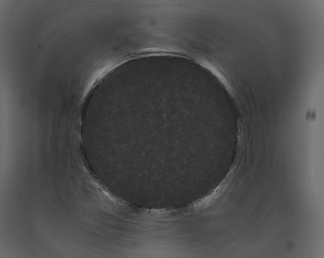 X0000091241357200708231707