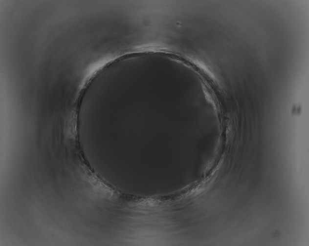 X0000091241358200708231707