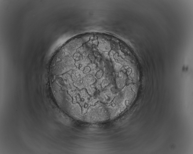 X0000091241359200708231707