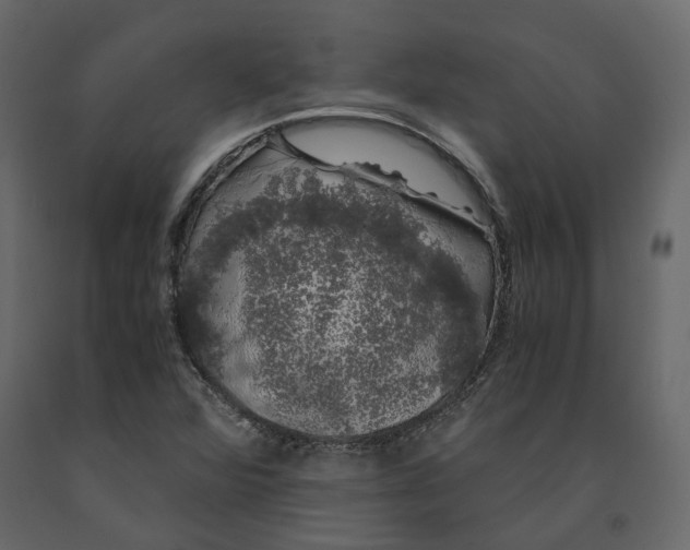 X0000091241360200708231707