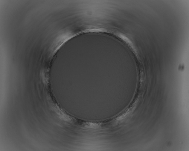 X0000091241361200708231707