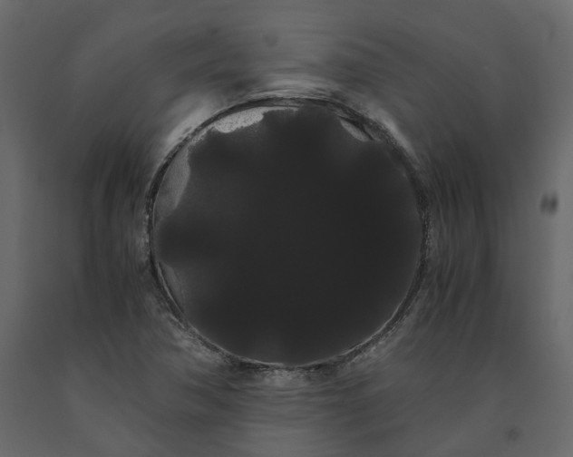 X0000091241362200708231707