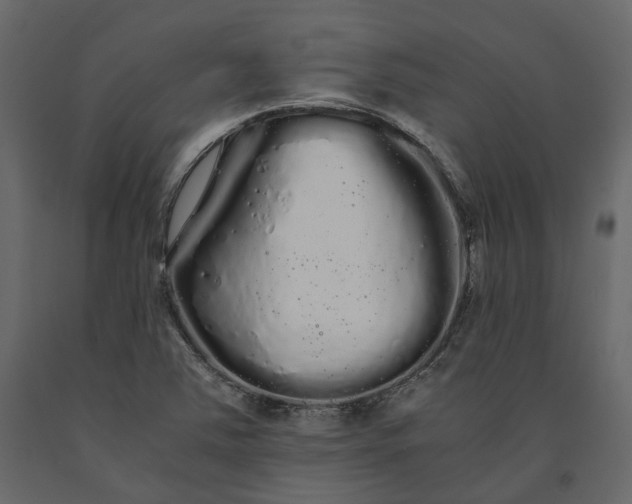 X0000091241363200708231707