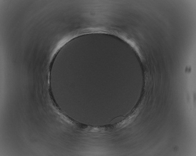X0000091241365200708231707