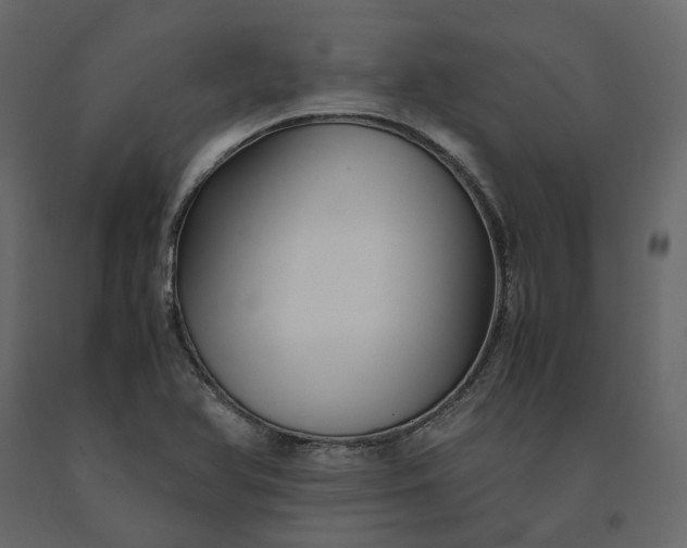 X0000091241366200708231707